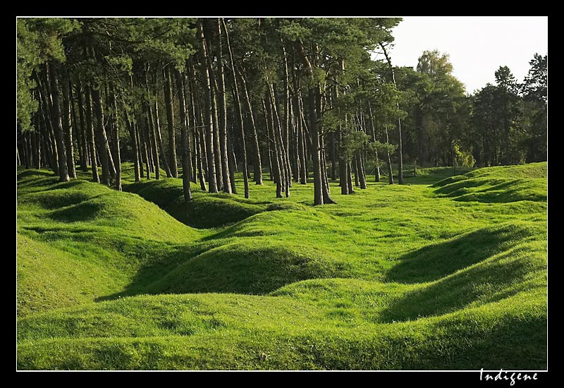 Champ de bataille