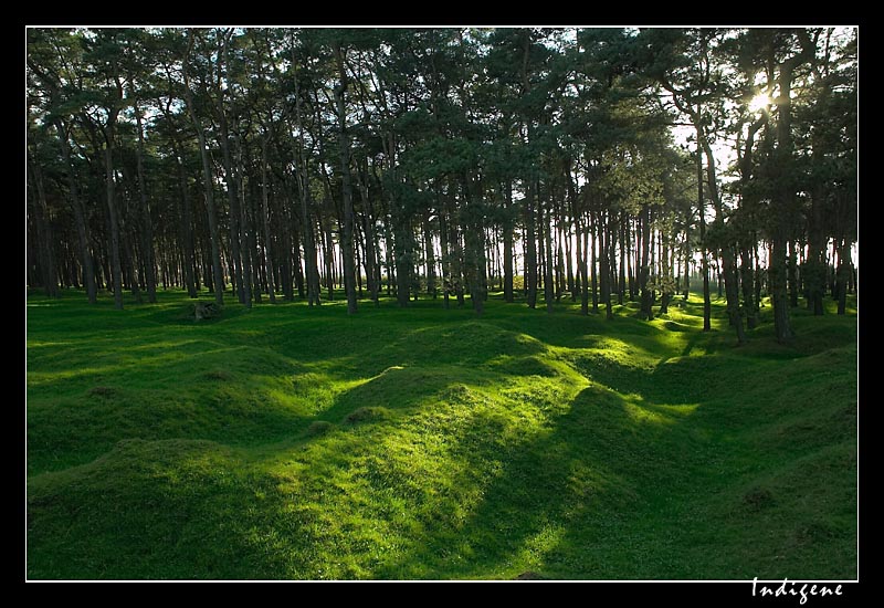 Le champ de bataille