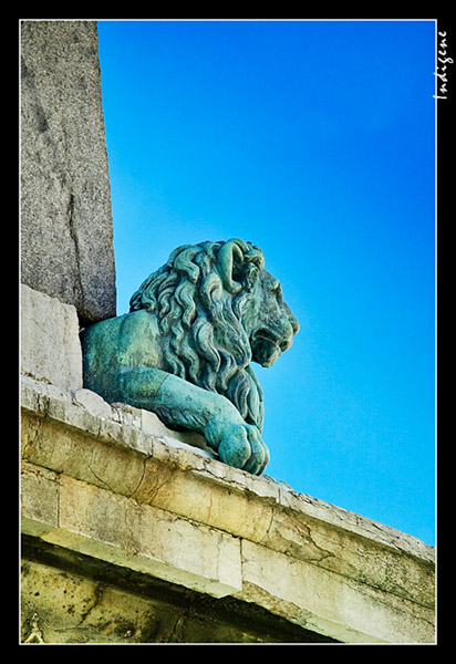 Le lion de l'oblisque