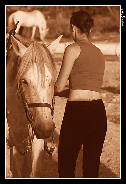 Le cheval et la cavalire