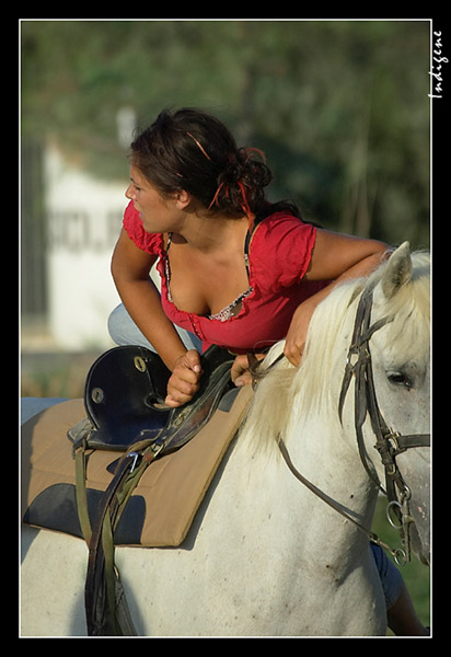 La cavalire rouge