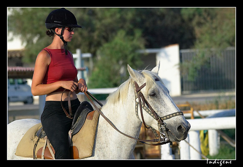 La belle cavalire rouge