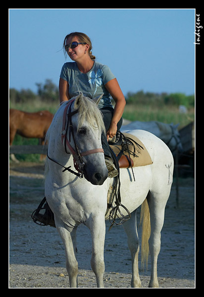 La cavalire sur son cheval blanc