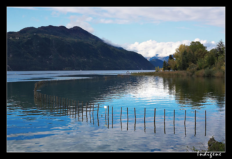 Lac du Bourget