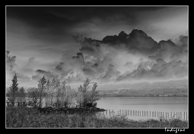 Le Lac du Bourget (NB)