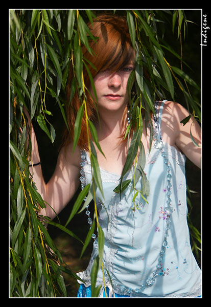 Cindy sort du bois