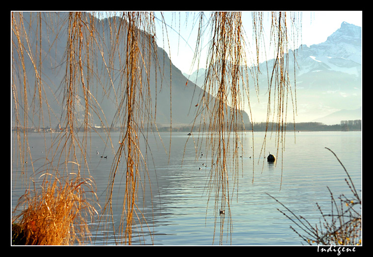 Les couleurs du lac