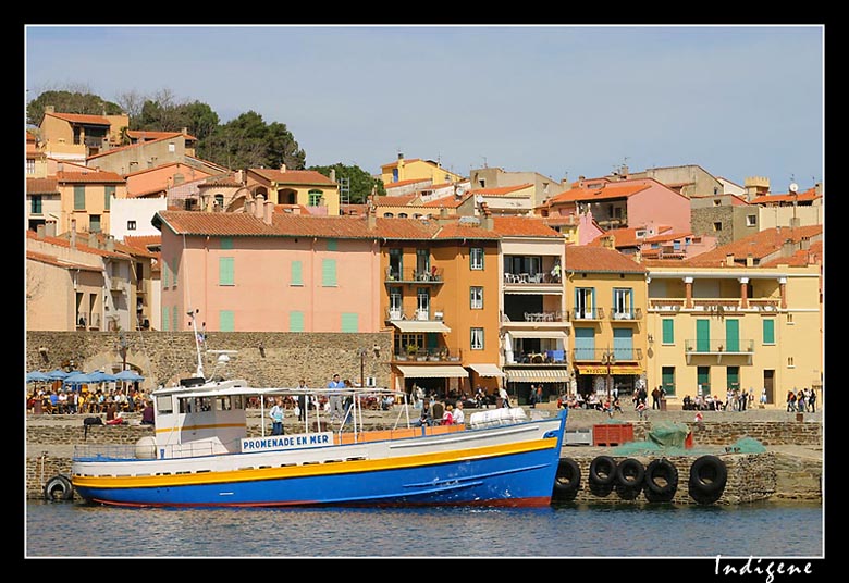 Ville de Collioure