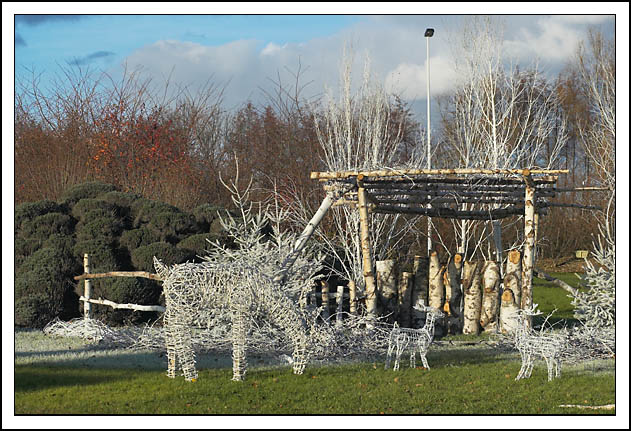 Rennes du grand nord