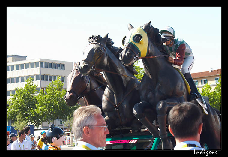 Les chevaux PMU