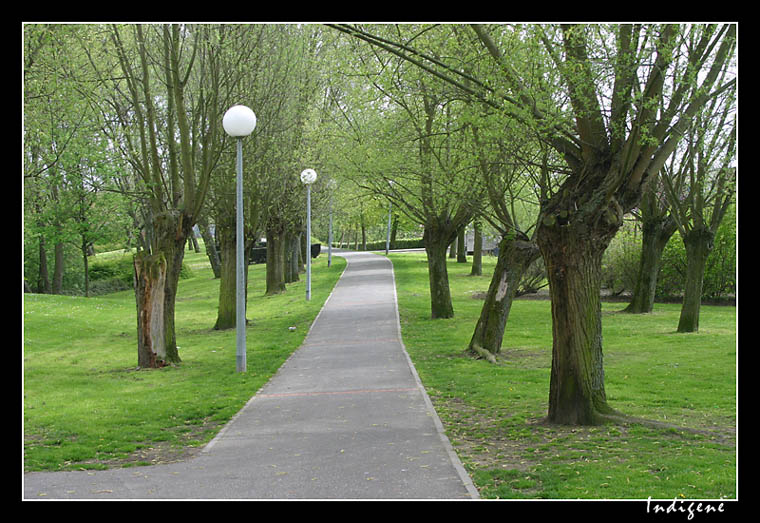 Alle borde d'arbres