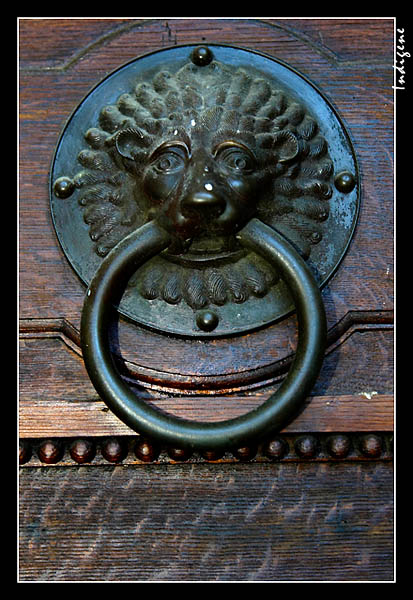 Poigne de porte