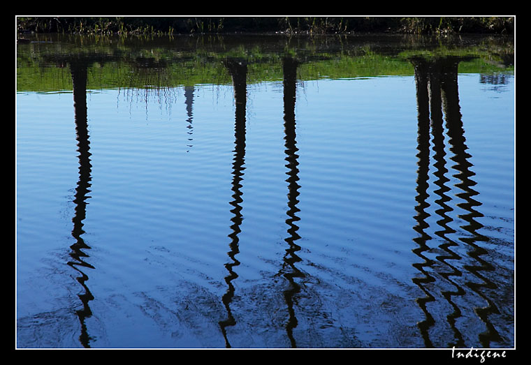 Reflets dans l'eau