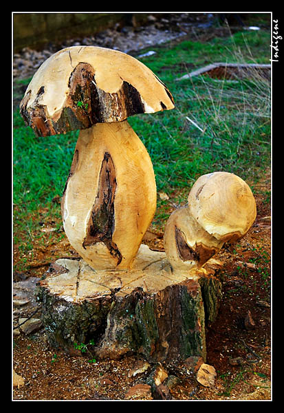 Sculpture de champignons