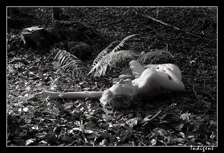 Couche dans les bois