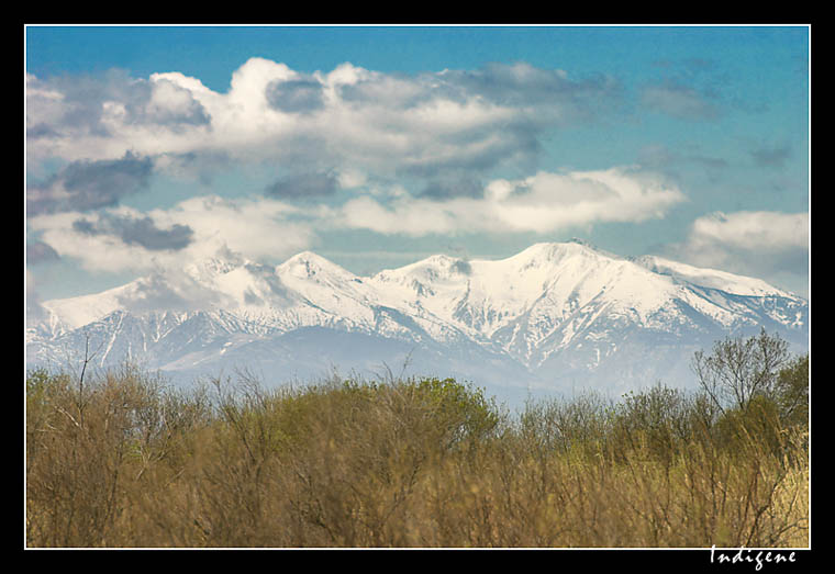 Canigou