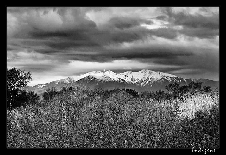 Mont Canigou 