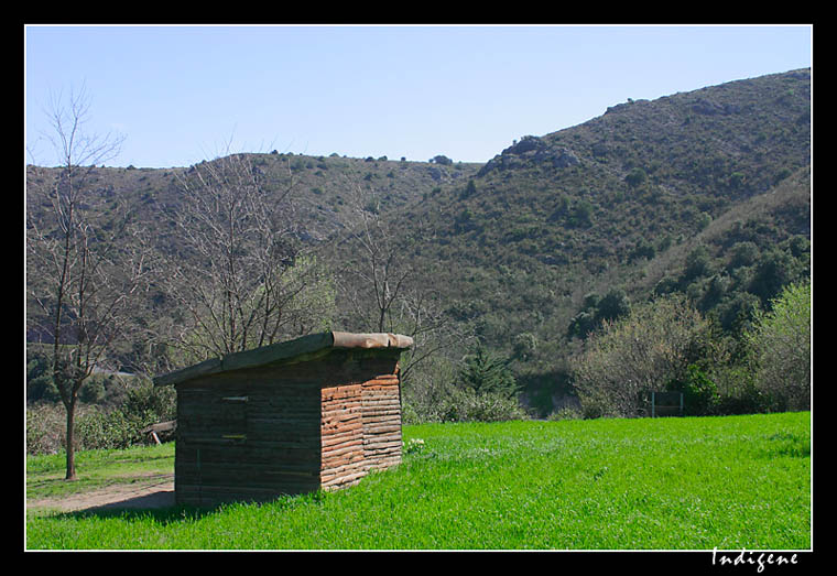 La cabane de montagne