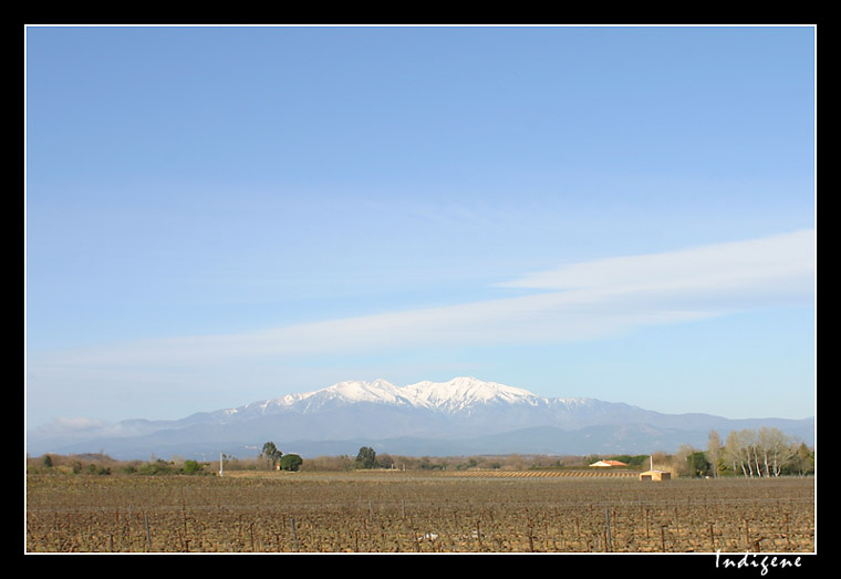 Le Pic du Canigou