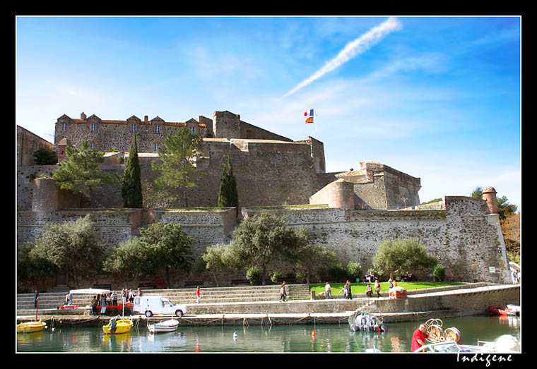 Le Chteau Royal  Collioure