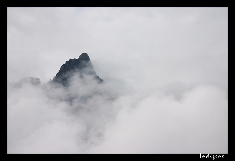 La Dent du chat
