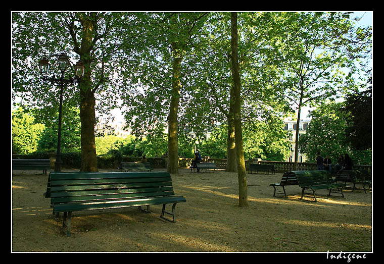 Les arbres du Jardin Darcy