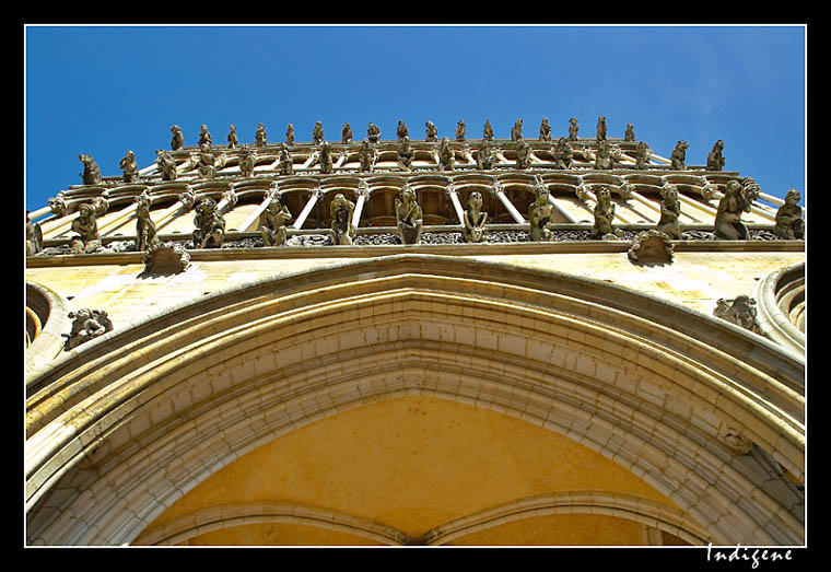 Les gargouilles de Notre-Dame