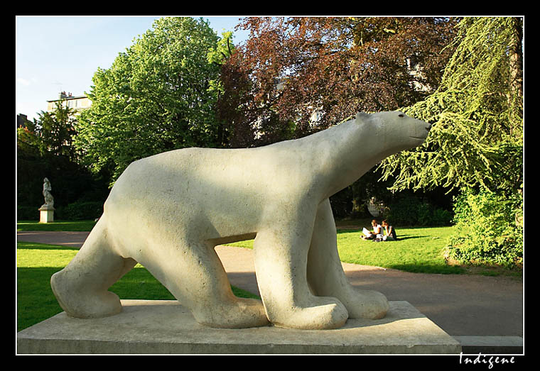 L'ours polaire du jardin Darcy