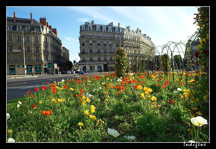 La Place Darcy  Dijon