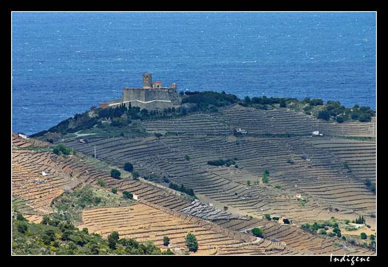 Le Fort Saint Elme