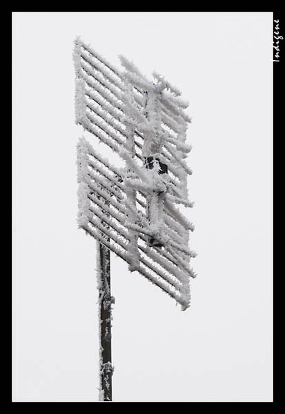 Antenne givre