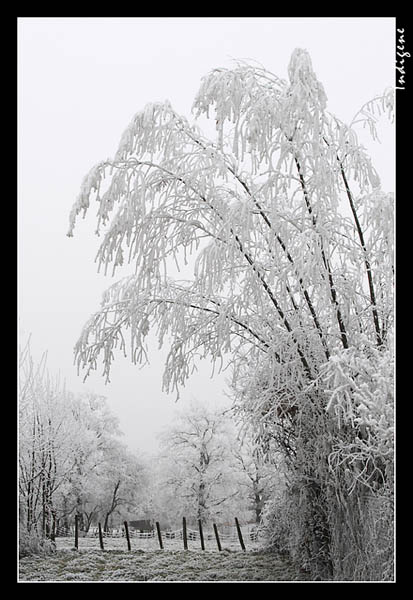 La campagne givre