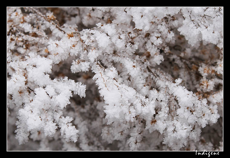 Accumulation de givre