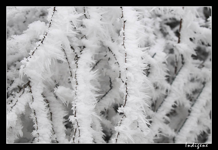 Pourquoi tant de givre ?