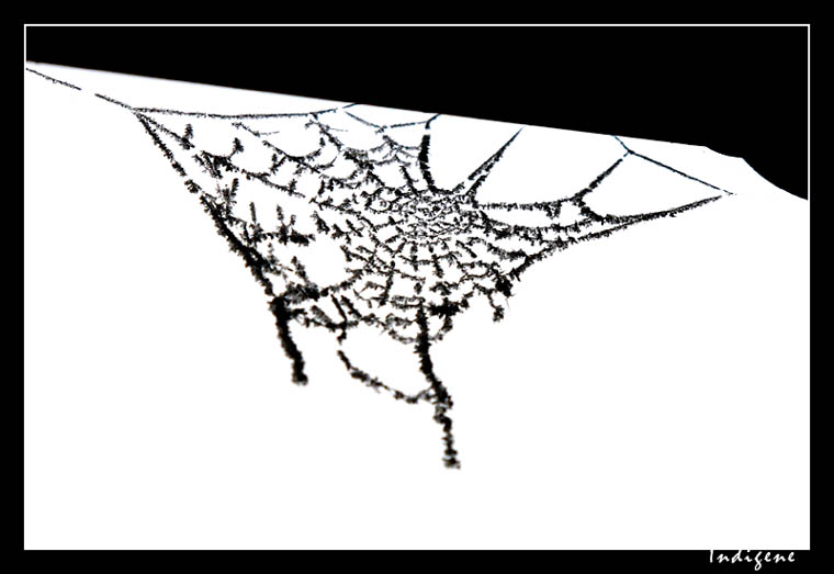 La toile