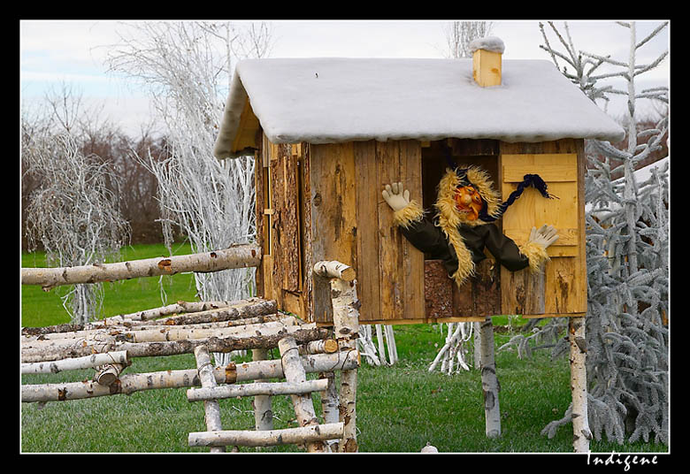 Hutte forestire