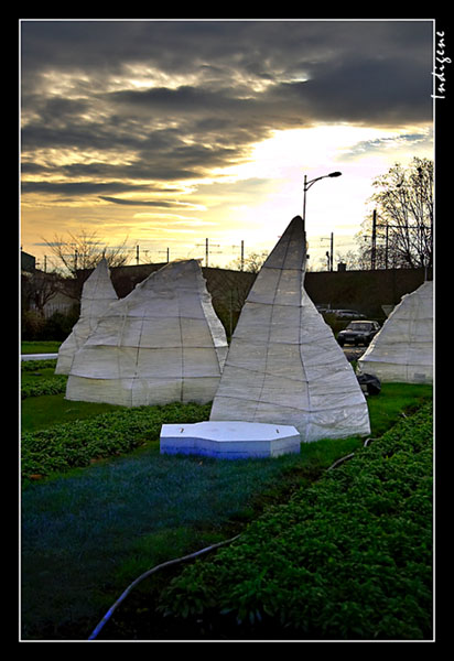 Des icebergs