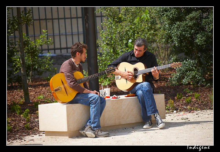 Les guitaristes