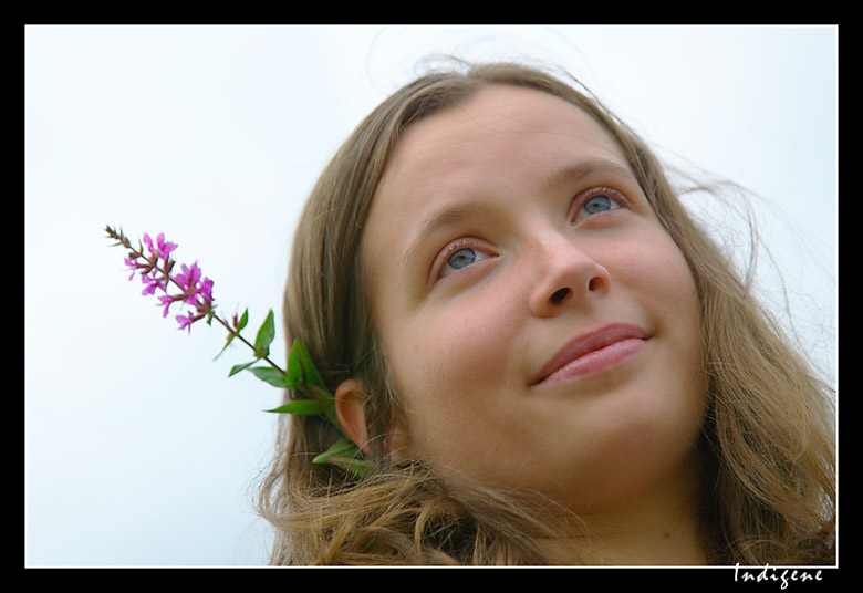 L'crivain  la petite fleur