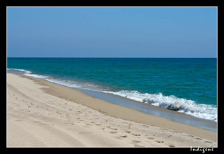 Sable fin