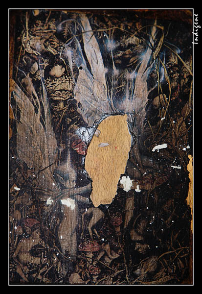 la vieille image