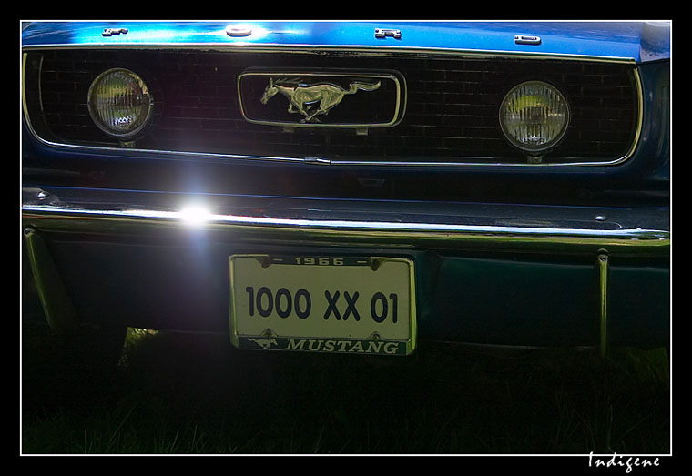 Mustang 1966