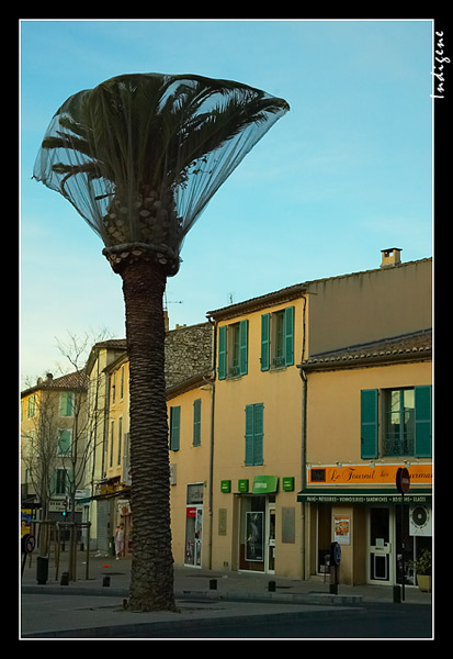 Le soleil ruiselle sur les maisons