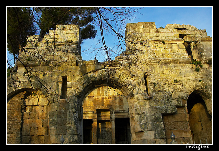 Temple de Diane