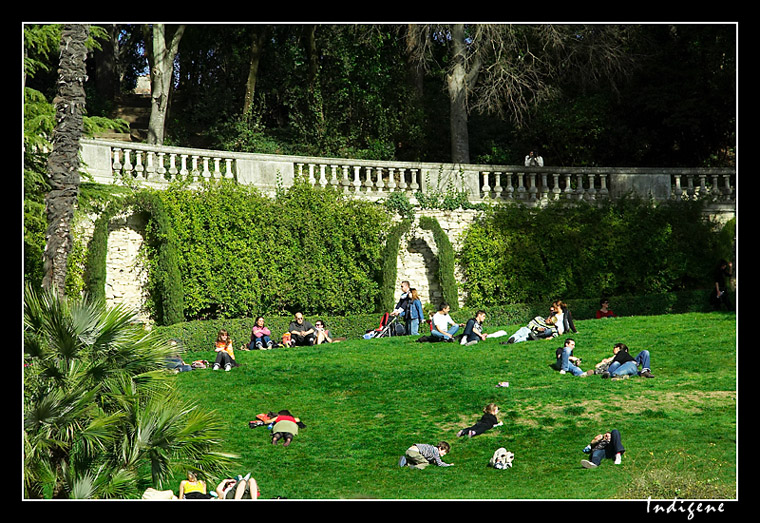 Un dimanche allong sur l'herbe