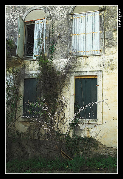 La maison abandonne