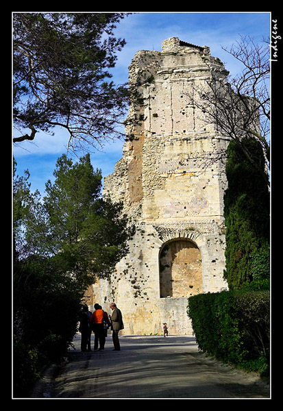 Dcouverte de la Tour Magne