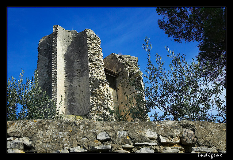 Les ruines de la Tour Magne