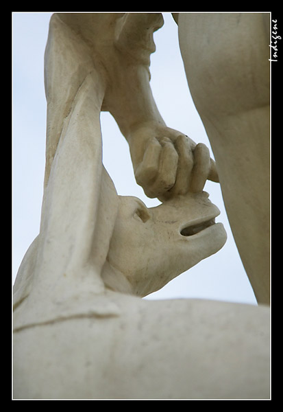 Le museau du chien