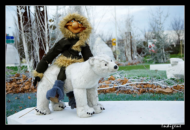 L'ours blanc